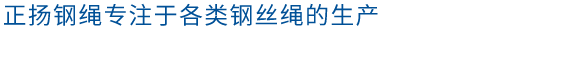 鍍鋅鋼絞(jiǎo)線.png 鍍鋅鋼(gāng)絞線.png
